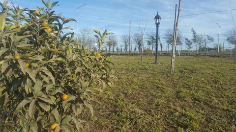 TERRENOS CERCA DE  ALVEAR RUTA 21 FINANCIACION AMPLIA Y FIJA!!!