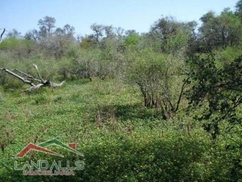 Vendo Campo En Formsa S/N $ 4.500 Campo en Venta