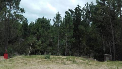 Terreno con pinos en venta en costa esmeralda, área Senderos 2