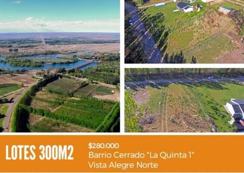 Lote en Vista Alegre Norte, Rodeado de Naturaleza Oportunidad