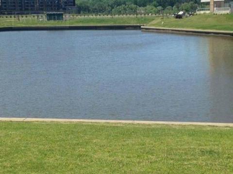 LOTE EN VENTA EN BARRIO LAS CALETAS NORDELTA