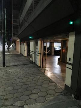 COCHERA DOBLE. FLORES